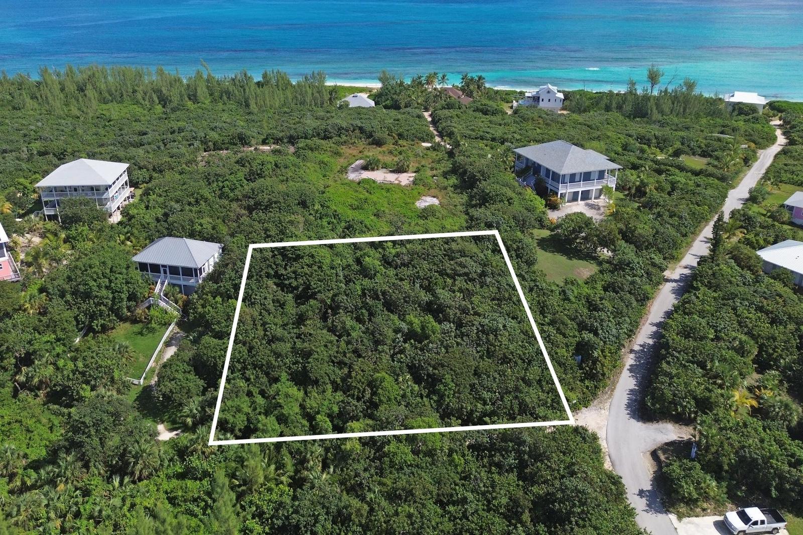 7 COCO BAY — photo 2
