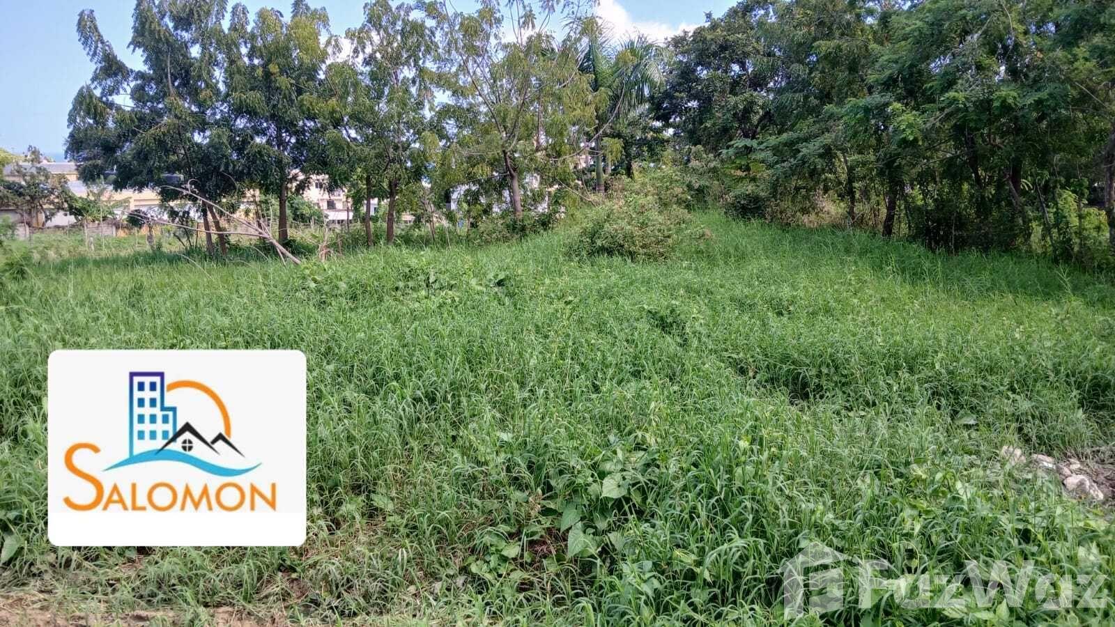 Land for sale in Puerto Plata project, San Felipe De Puerto Plata, Dominican Republic — photo 2