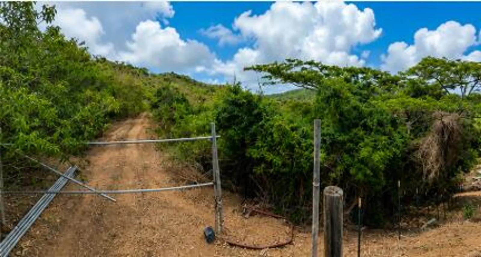 0.46 Acre Homesite Lot in Christiansted — photo 2