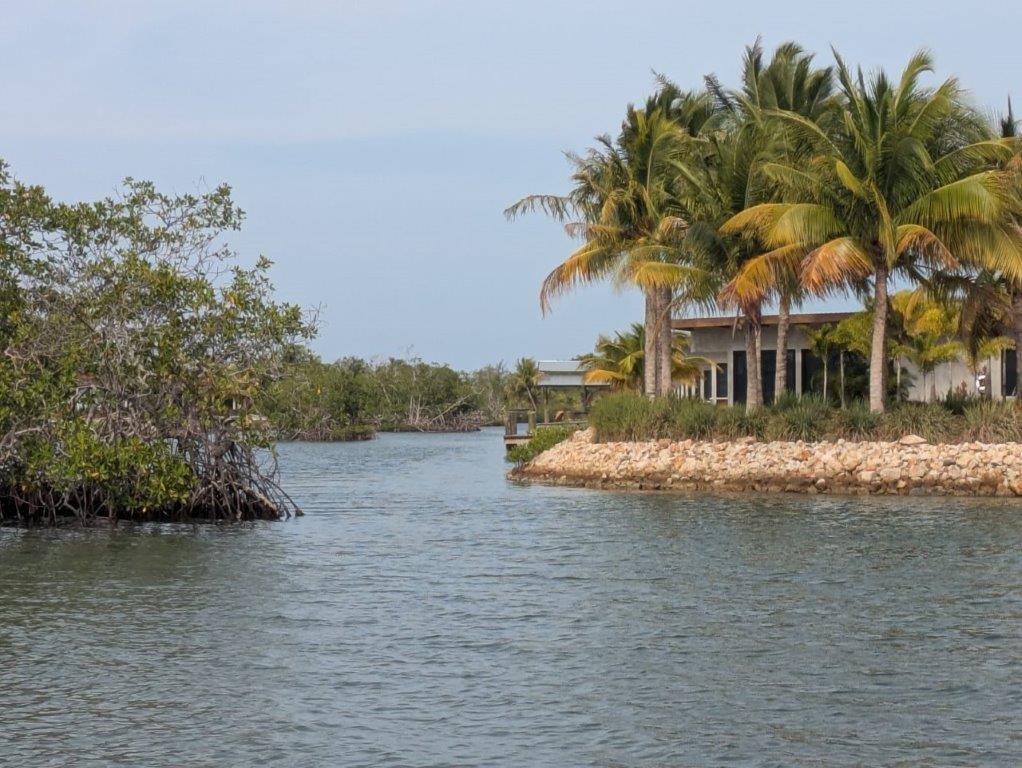 Waterfront land, 62 x 145 ft (approx. 835 m²) in Vista Cove, Placencia — photo 3