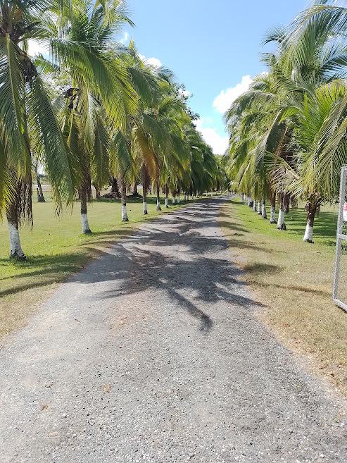 3 Bedroom Home for Sale, Palmar Sur, Golfito, Puntarenas, Costa Rica — photo 1