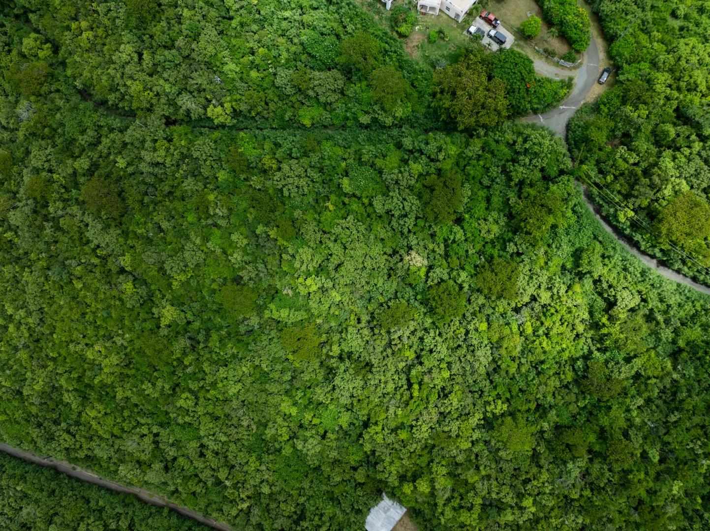 0.94 Acre Hilltop Homesite in Cotton Valley Eb — photo 4
