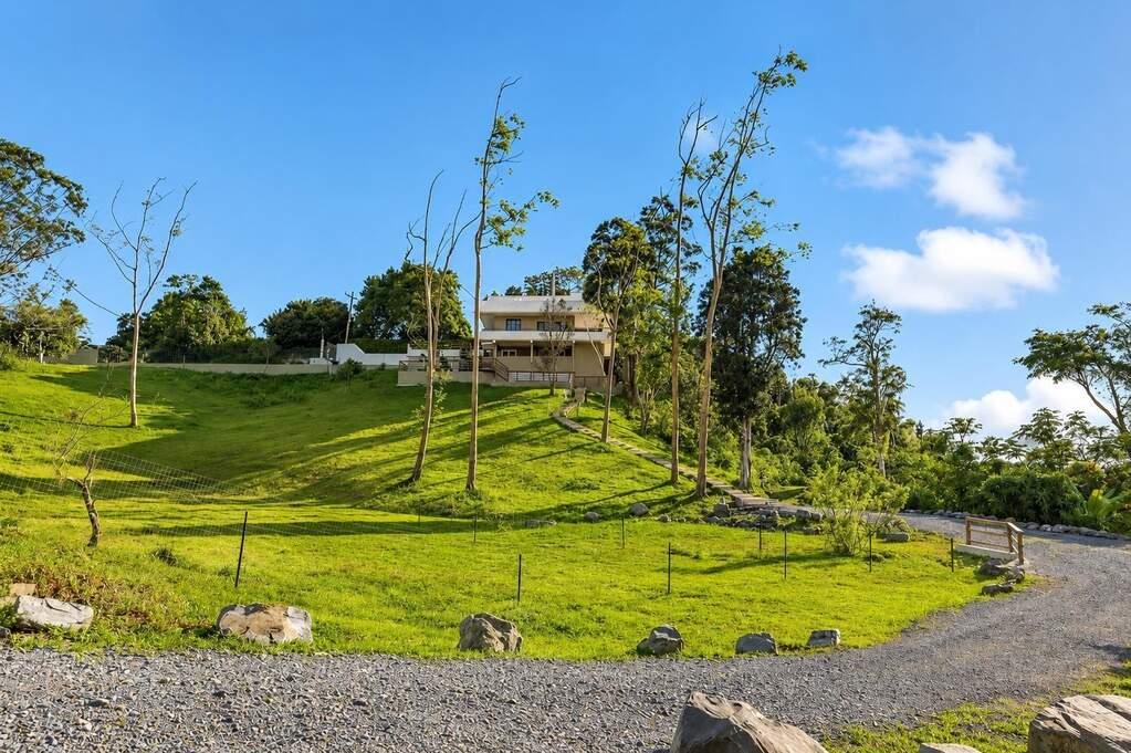 Private Mountaintop Retreat in Cayey — photo 2
