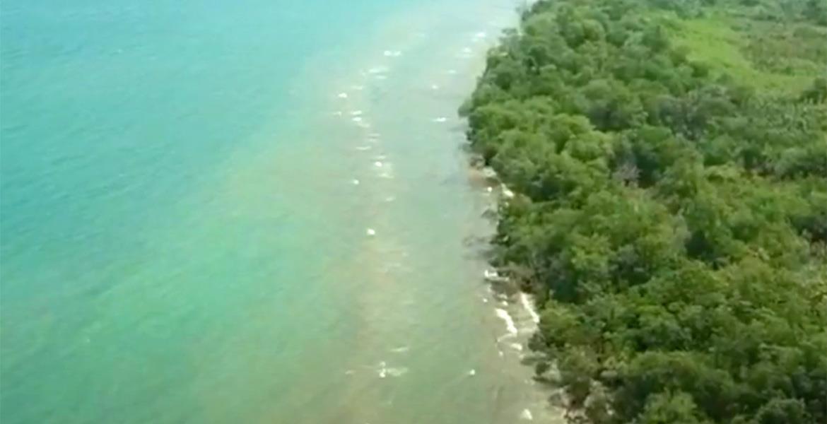 Beach and lagoonfront land in Hopkins, Stann Creek District — photo 4