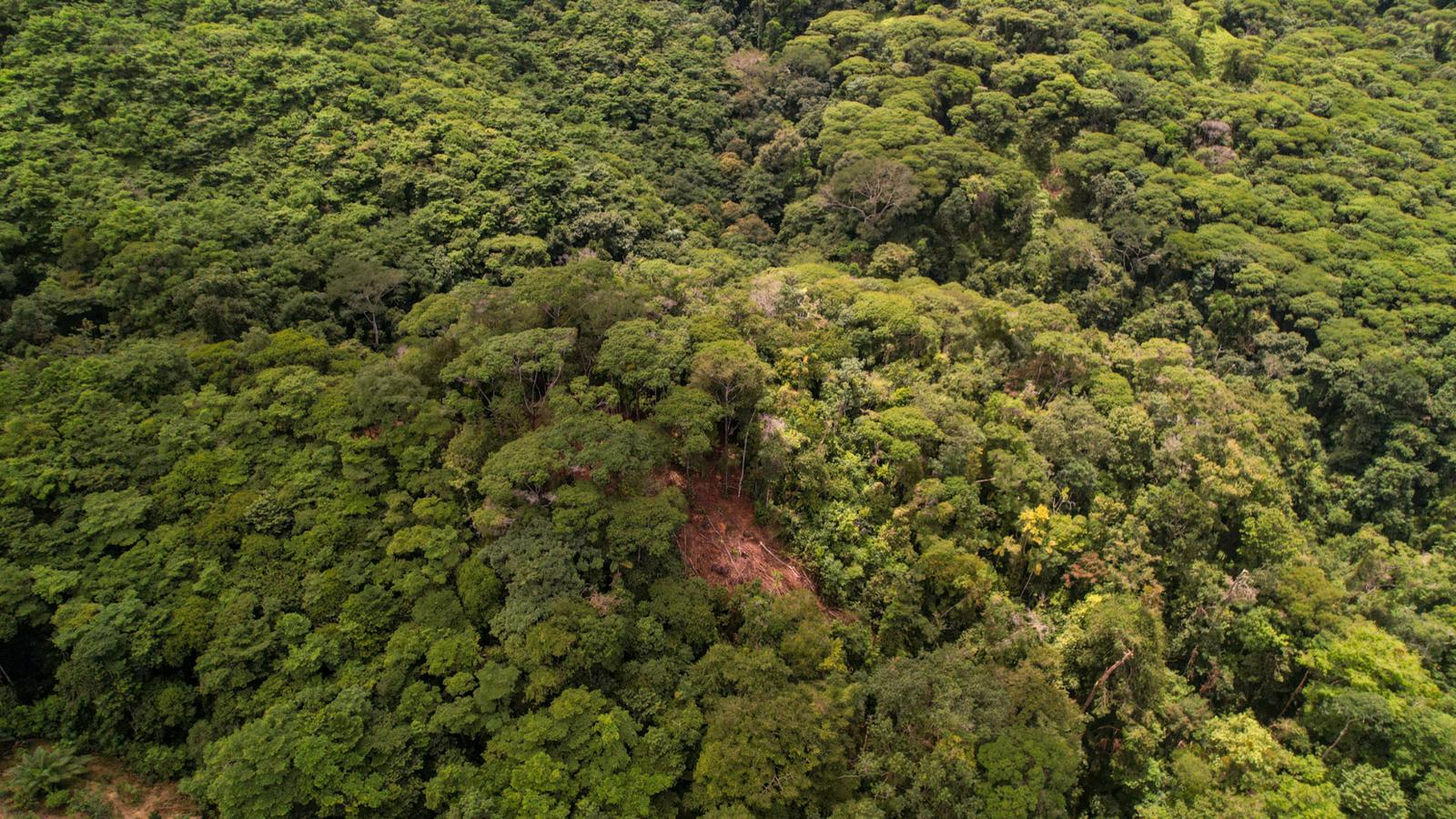 17.5 Acres of Land for Sale, Costa Rica — photo 5