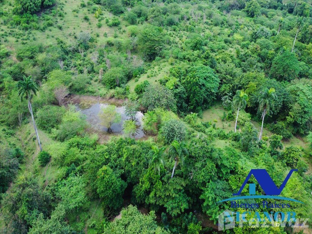 2,200 acres cattle farm for sale in Imbert — photo 5