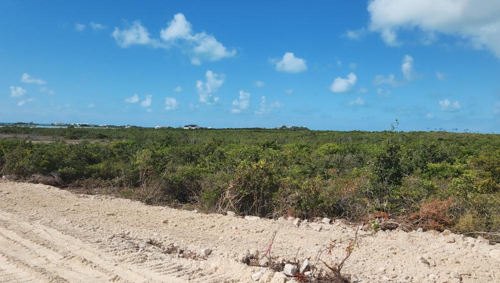Off Tessier Lane 0.35 Acre Lot — photo 5