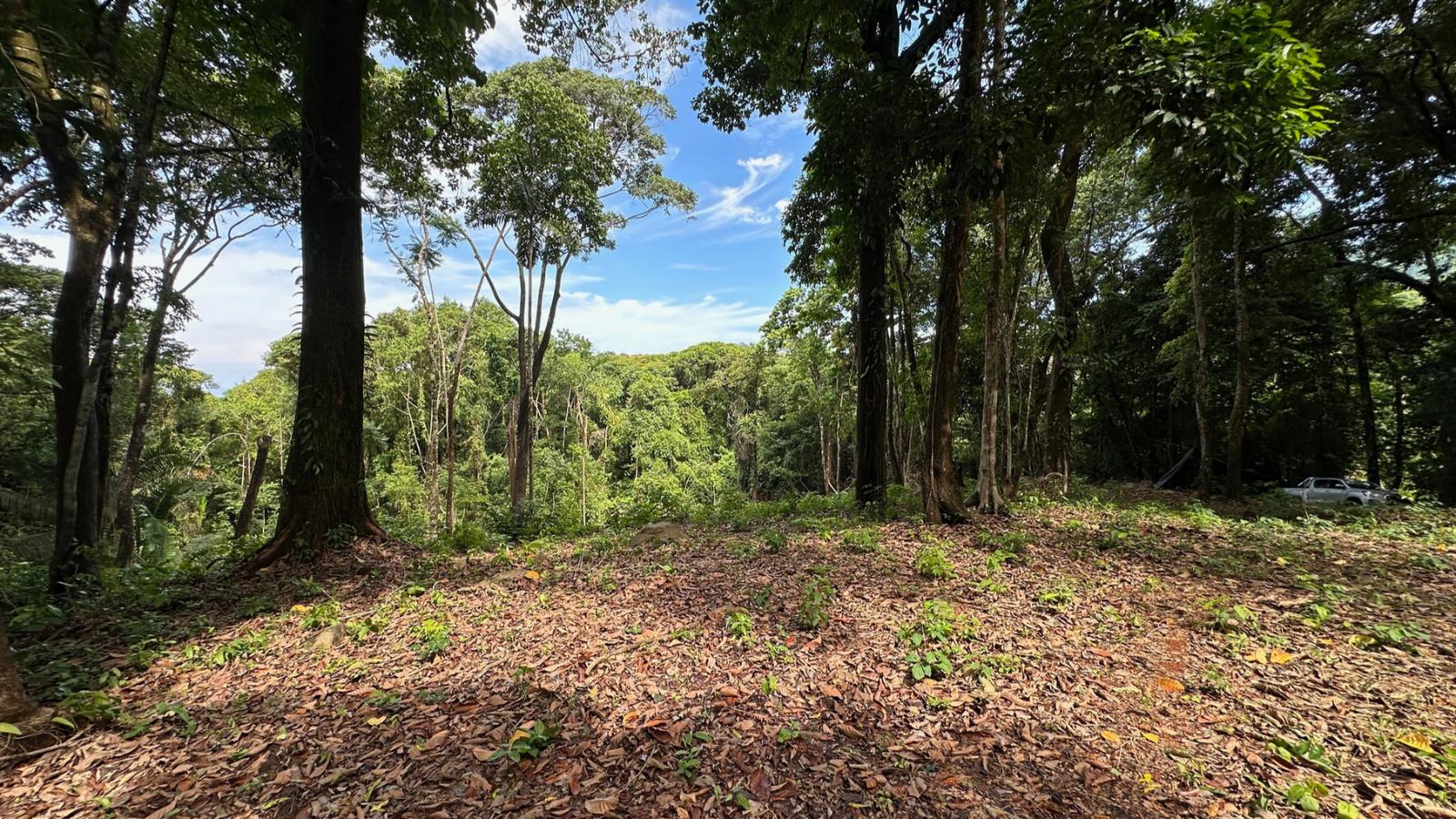 8.8 Acres of Land for Sale in Dominicalito, Puntarenas, Costa Rica — photo 2