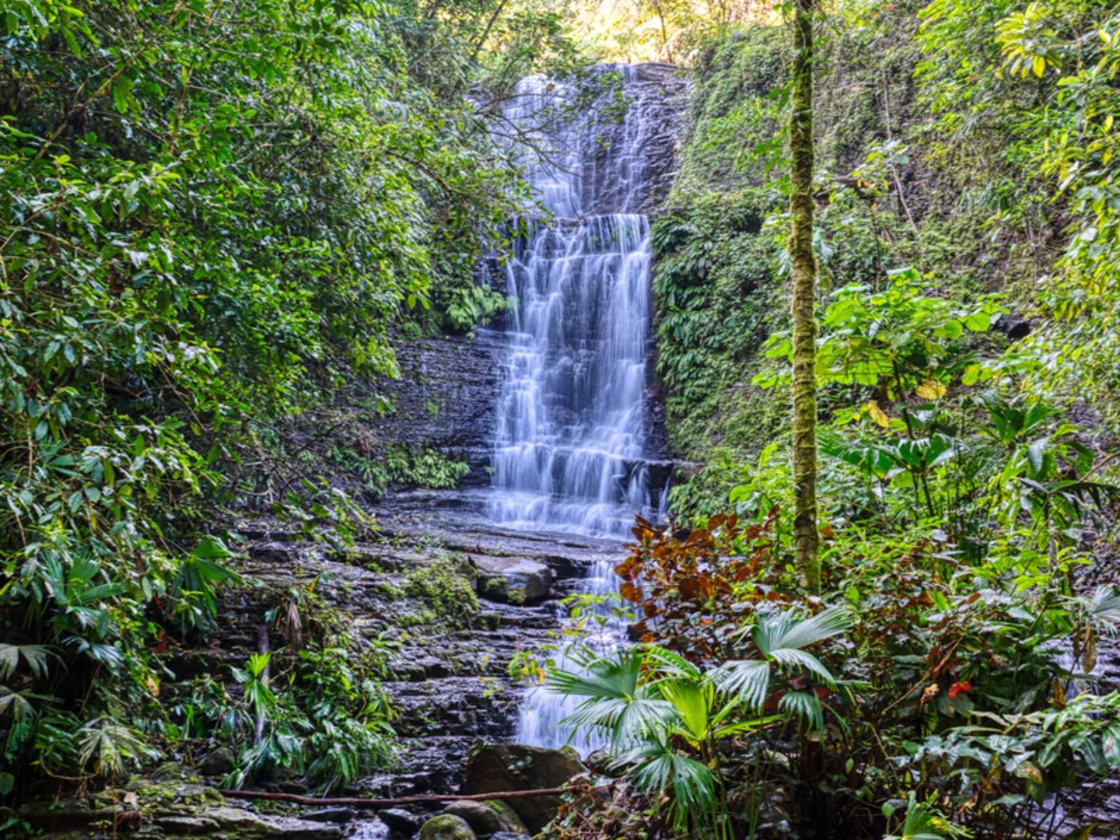 632.6 Acres of Land for Sale, Quepos, Puntarenas, Costa Rica — photo 2