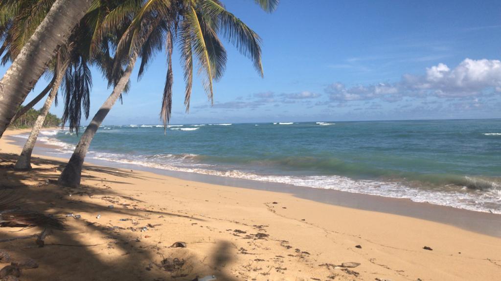 Land for sale near the beach in Las Terrenas — photo 1