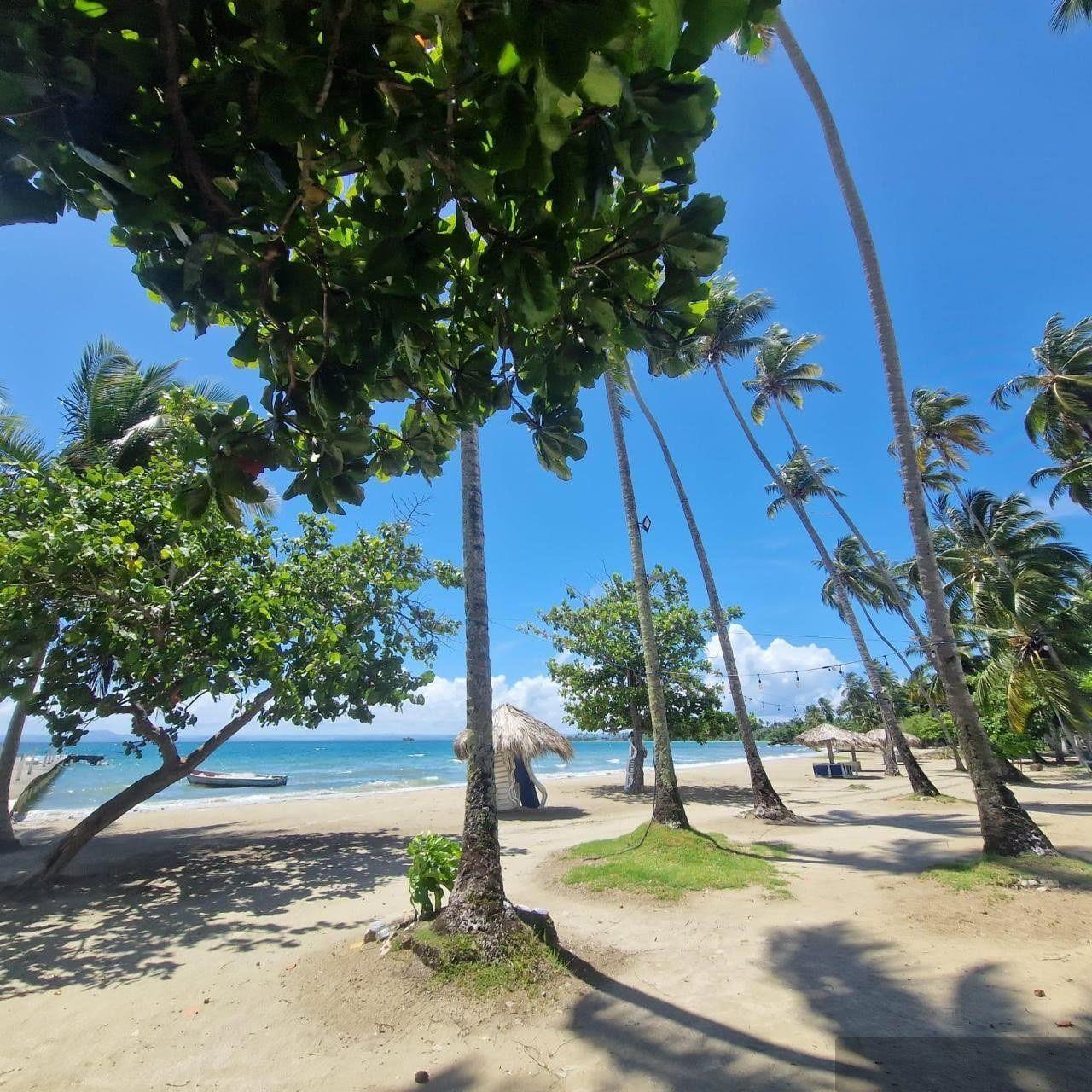 House with 3 Apartments for sale in Samaná Near the Beach — photo 2
