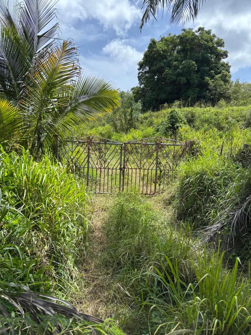 30 Acre Lot — photo 3
