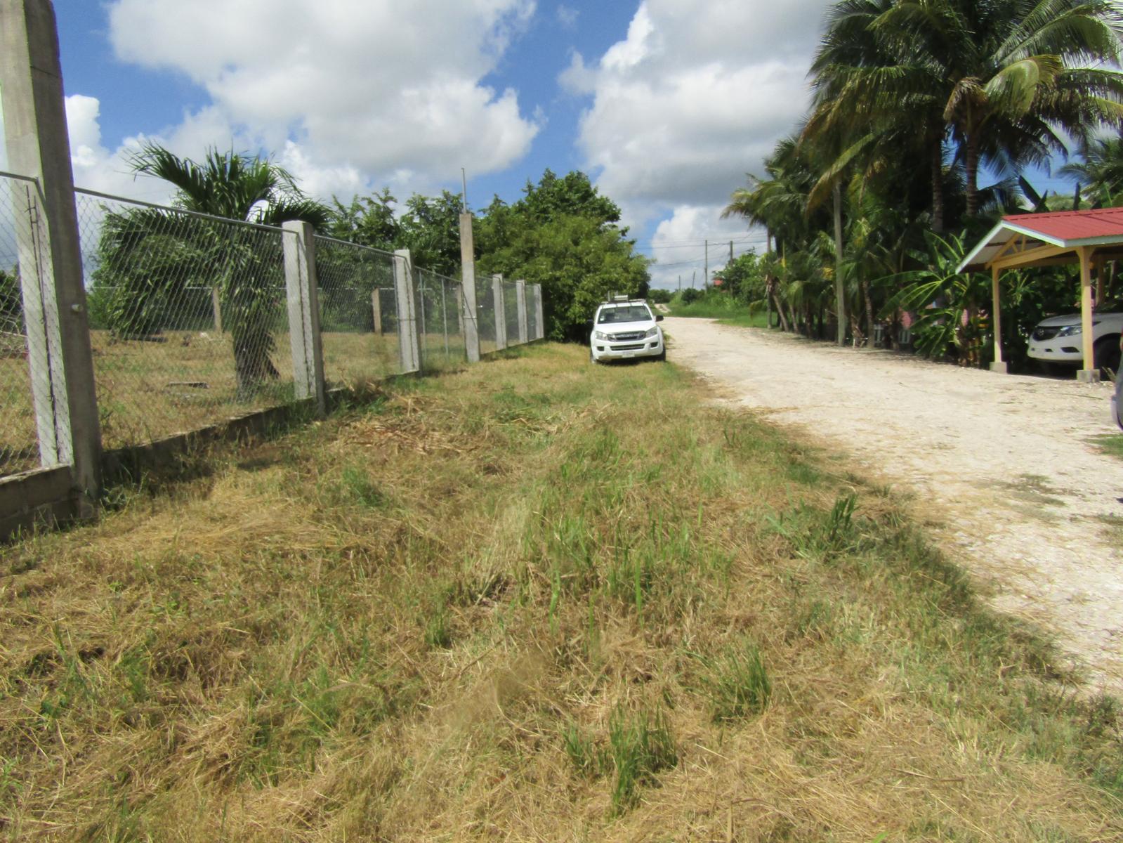 #2503 – A VERY LARGE RESIDENTIAL LOT IN SAN IGNACIO — photo 3