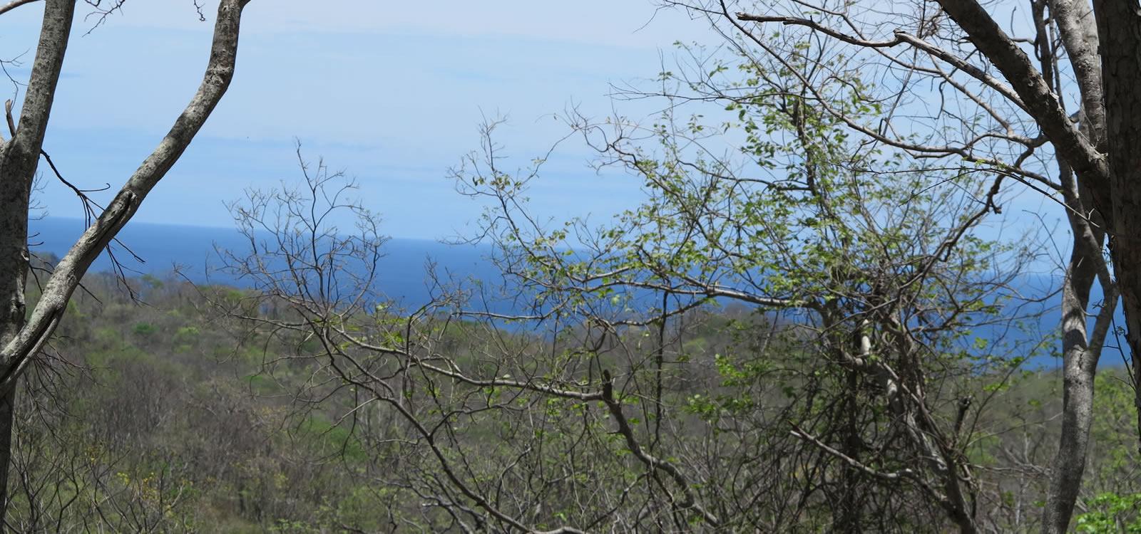 0.89 Acre Lot of Land for Sale in Rancho Santana, Nicaragua — photo 3