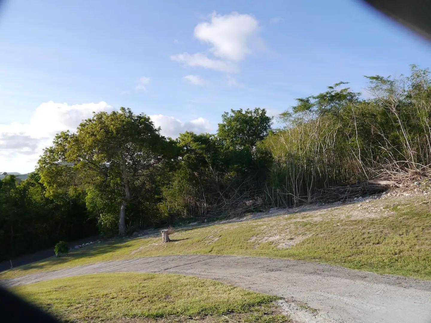 0.97 Acre Homesite in Mary's Fancy — photo 3