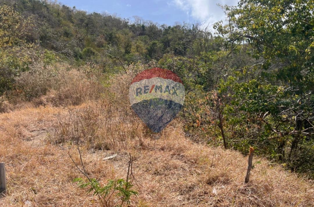 BEQUIA - SPRING SEA VIEW LOT — photo 2