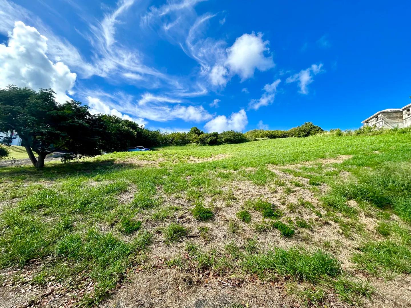 0.62 Acre Homesite with Sea View in Green Cay — photo 5