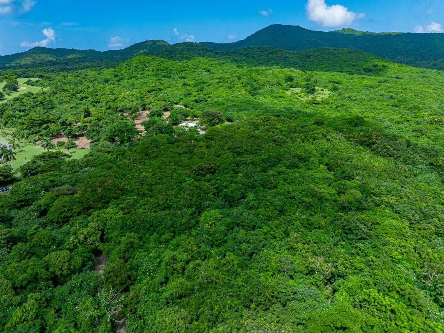 24.47 Acre Business Zoned Lot across from Carambola Golf Course — photo 4
