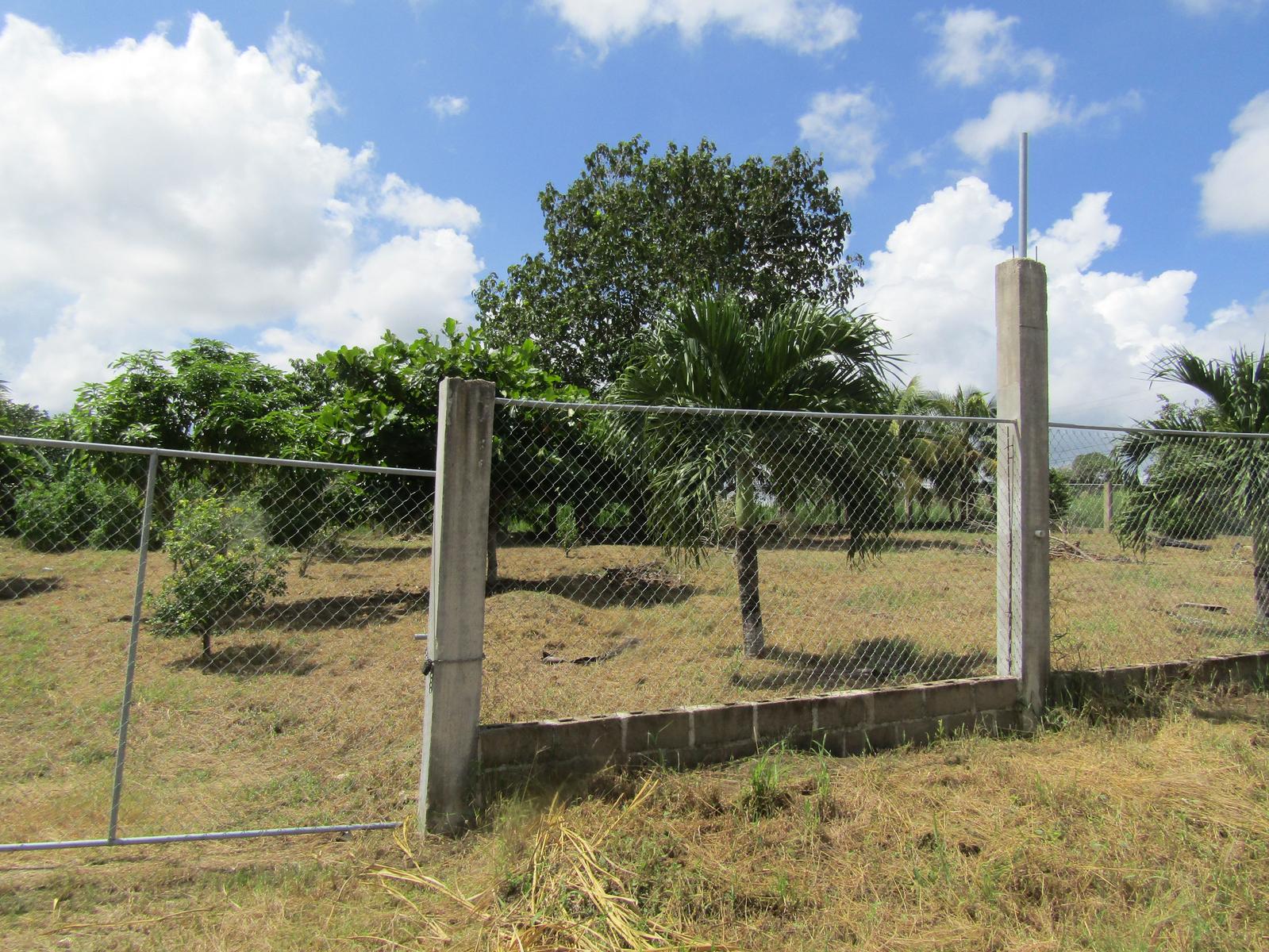 #2503 – A VERY LARGE RESIDENTIAL LOT IN SAN IGNACIO — photo 4