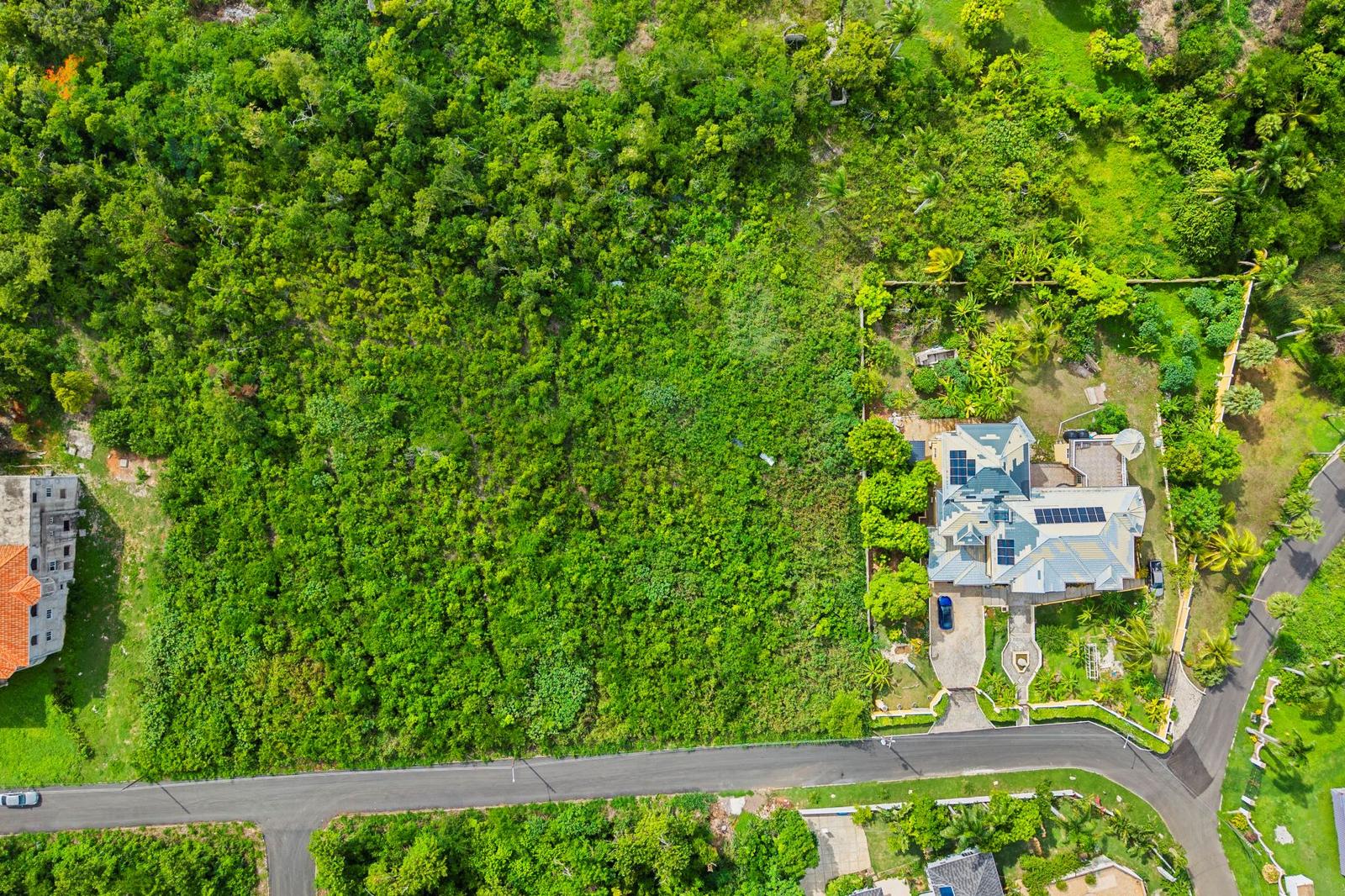 0.73 Acre Ocean View Lot for Sale, The Highlands, Spring Farm, Montego Bay, Jamaica — photo 2