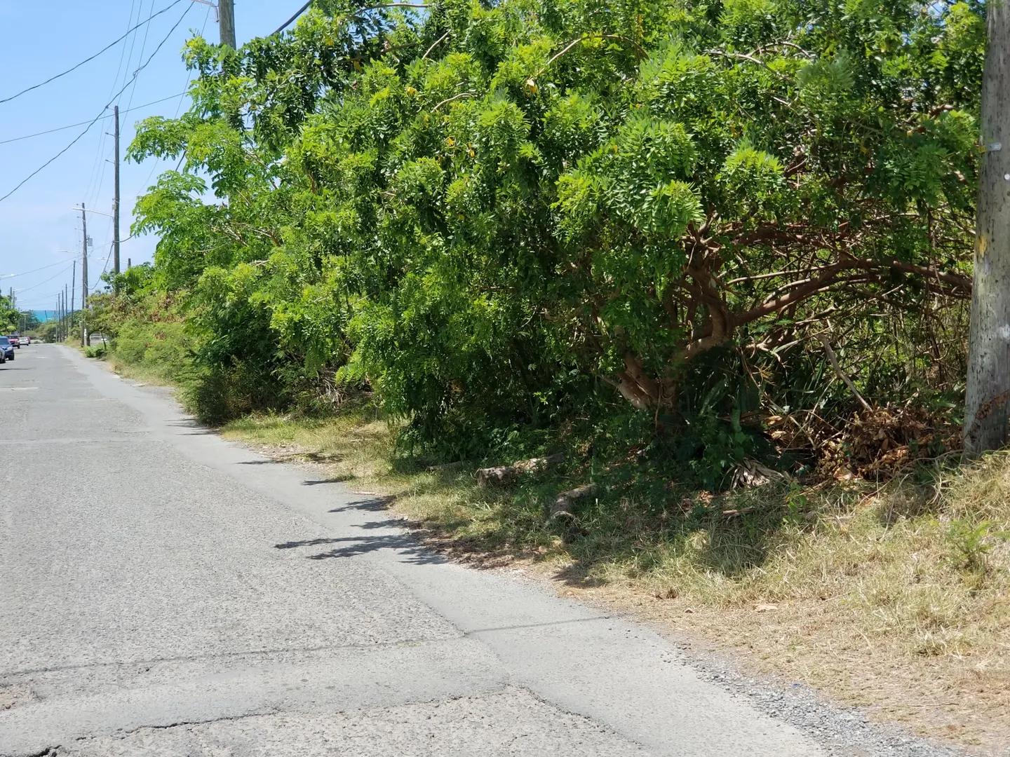 0.5 Acre Homesite Lot in Hannah's Rest We, US Virgin Islands — photo 1