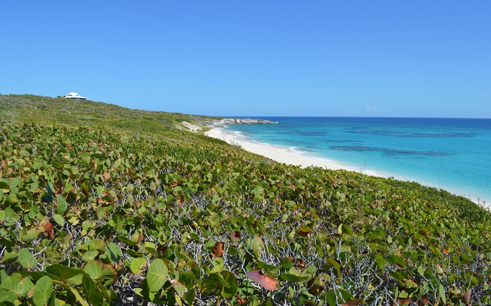 2.1 Acre Beachfront Parcel with Dockage - MLS 66225 — photo 2