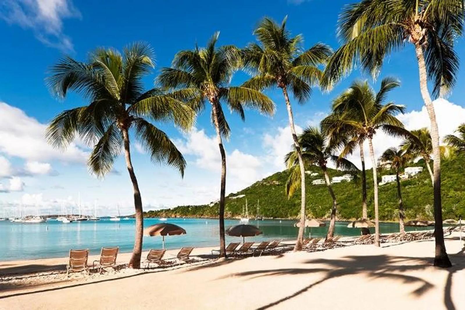 479 Chocolate Hole, St John, US Virgin Islands — photo 3