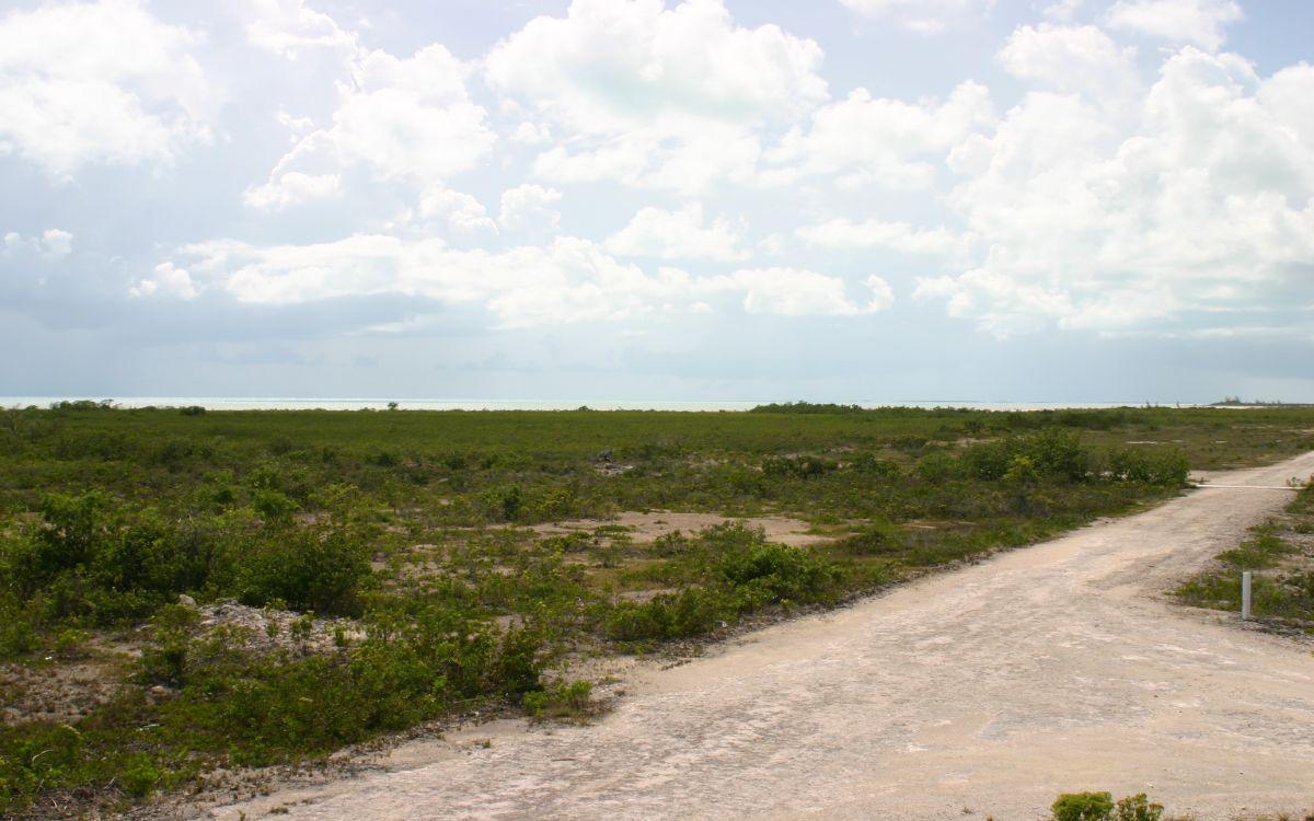Vacant Land for sale - Lot 1075 - Mls 65289 — photo 4