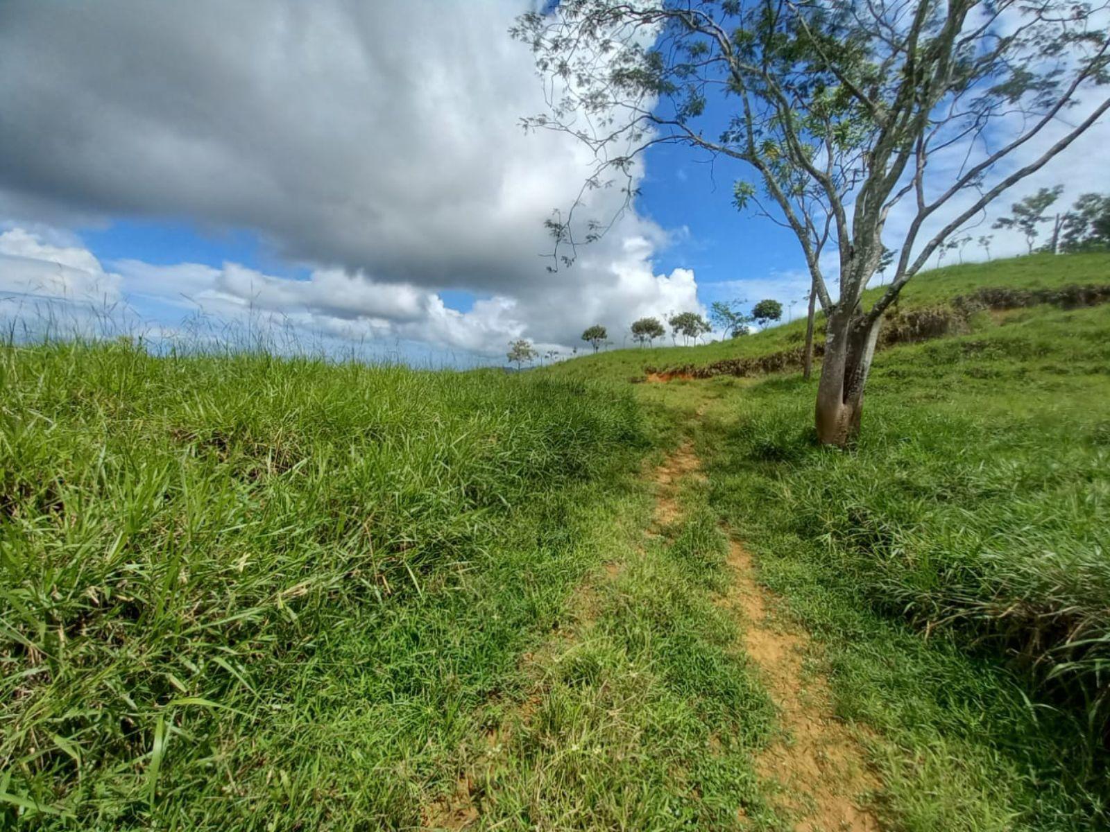 46 Hectares of Land for Sale in Platanillo, Dominical, Costa Rica — photo 2