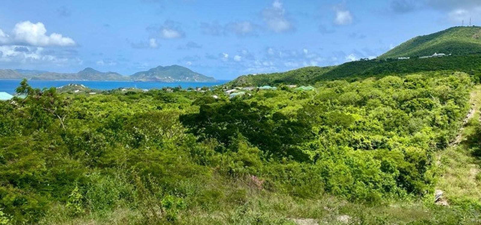 3-acre land in Clifton Estate, Cades Bay, Nevis — photo 2