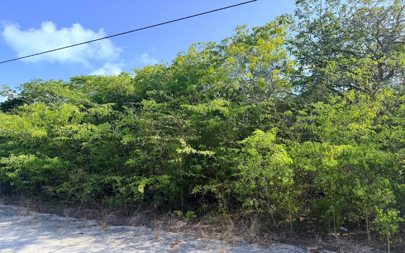 Vacant Land for sale - Lot 1194 And 1195, Bahama Island Beach — photo 4