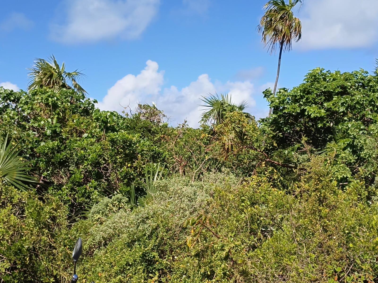 Vacant Land for Sale - Lot 88, Seahorse Shores Water Front Parcel — photo 5