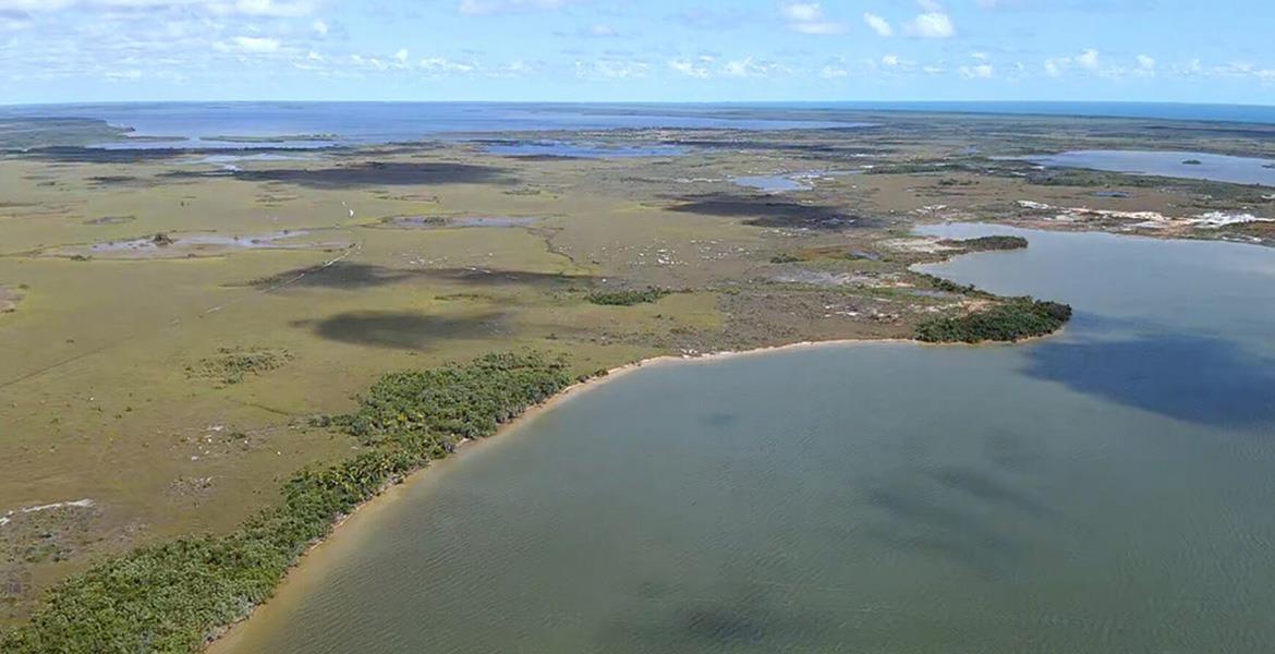 Lucrative Opportunity —100 Waterfront Acres near Coconut/Gales Point — photo 4