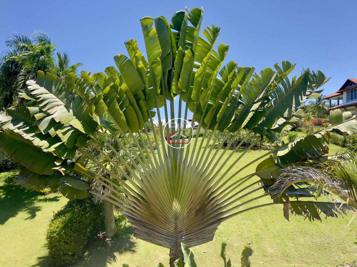 Charming Villa with Independent Apartment in Gated Community, Sosua — photo 4