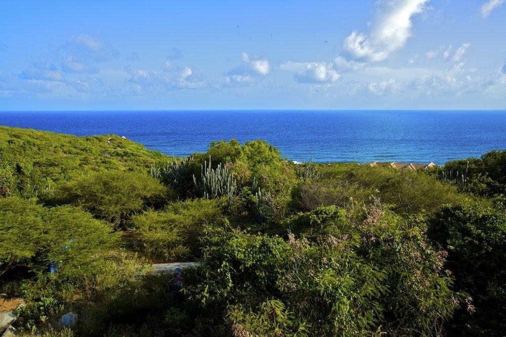 CROOKS BAY ESTATE LAND — photo 1