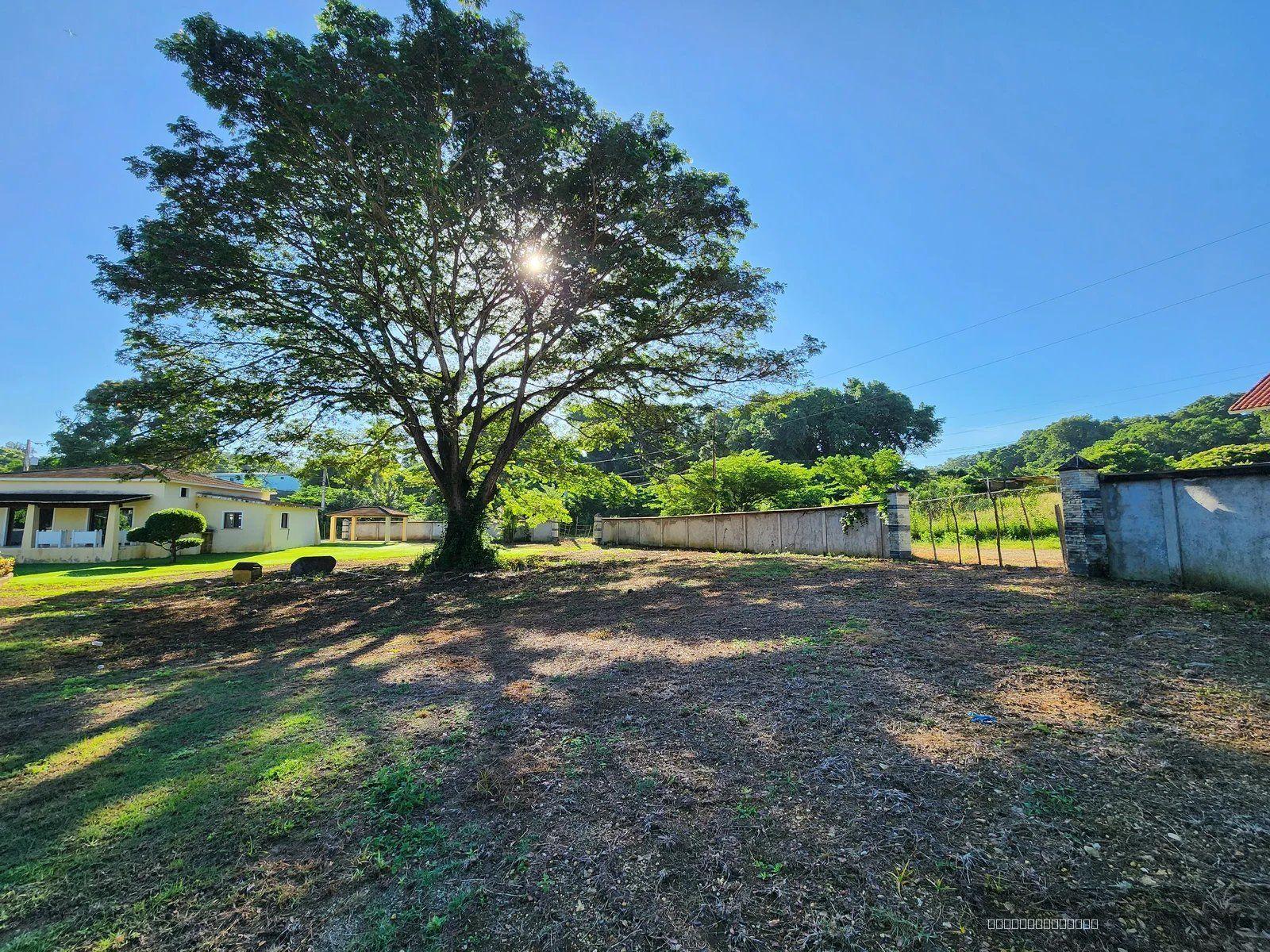 Prime Flat Lot for Sale in La Mulata, Sosúa — photo 4
