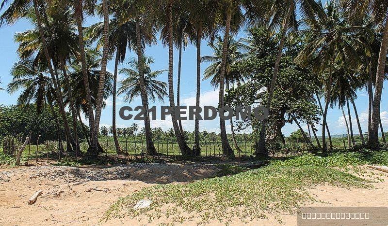 Oceanfront Development Lot for sale in Cabrera — photo 5