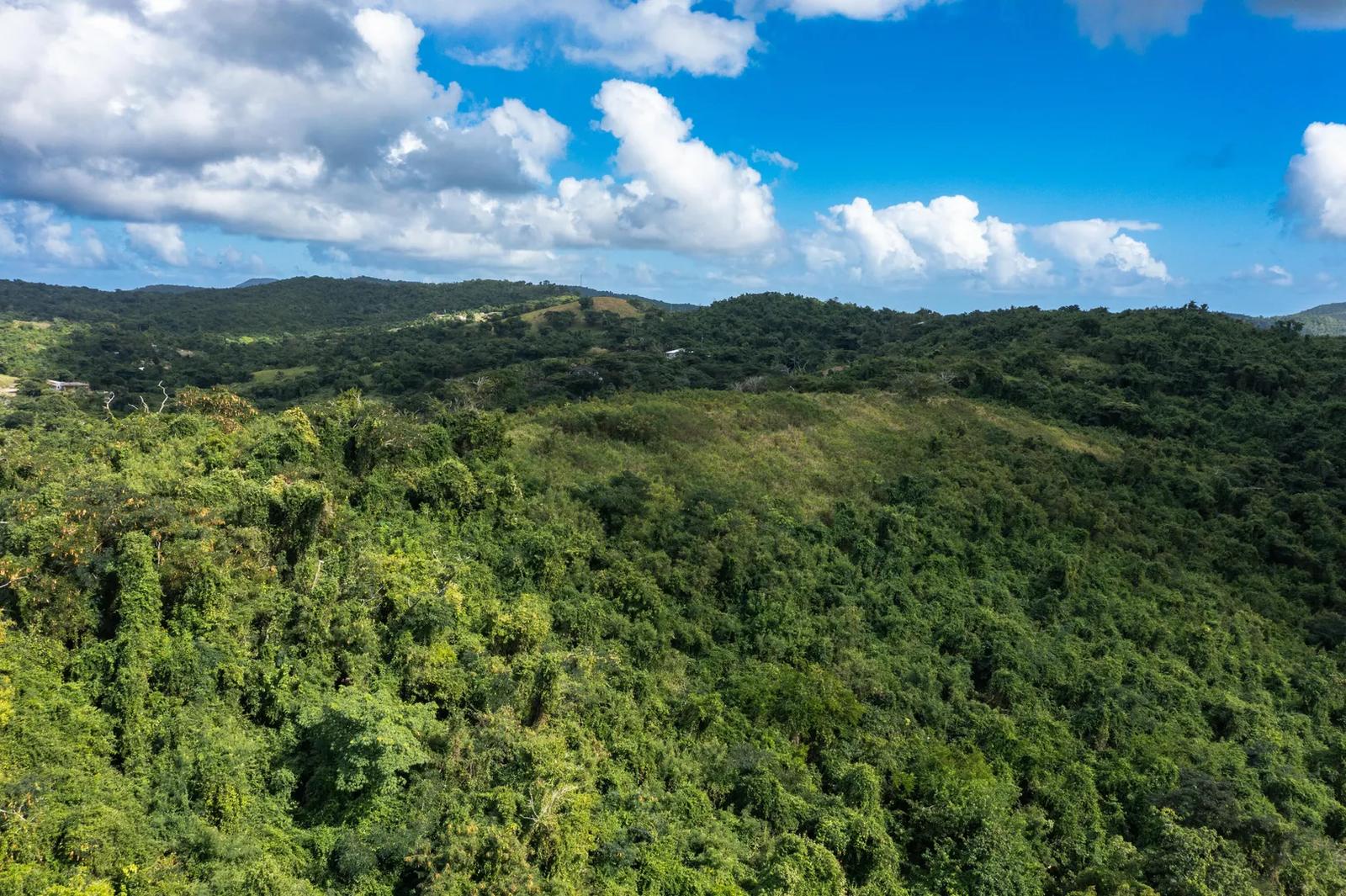 7.27 Acre Lot — photo 4