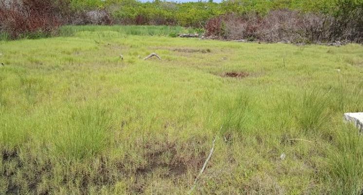 Lot/Land 8 Mile North San Pedro Ambergris Caye — photo 1
