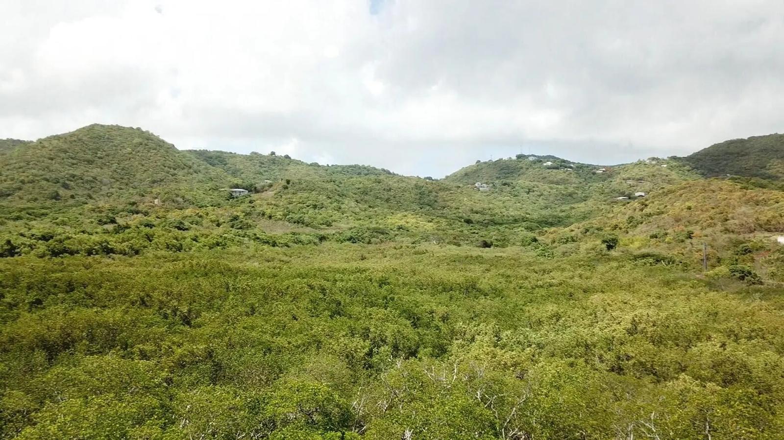 2.15 Acre Waterfront Homesite in St. Croix — photo 4