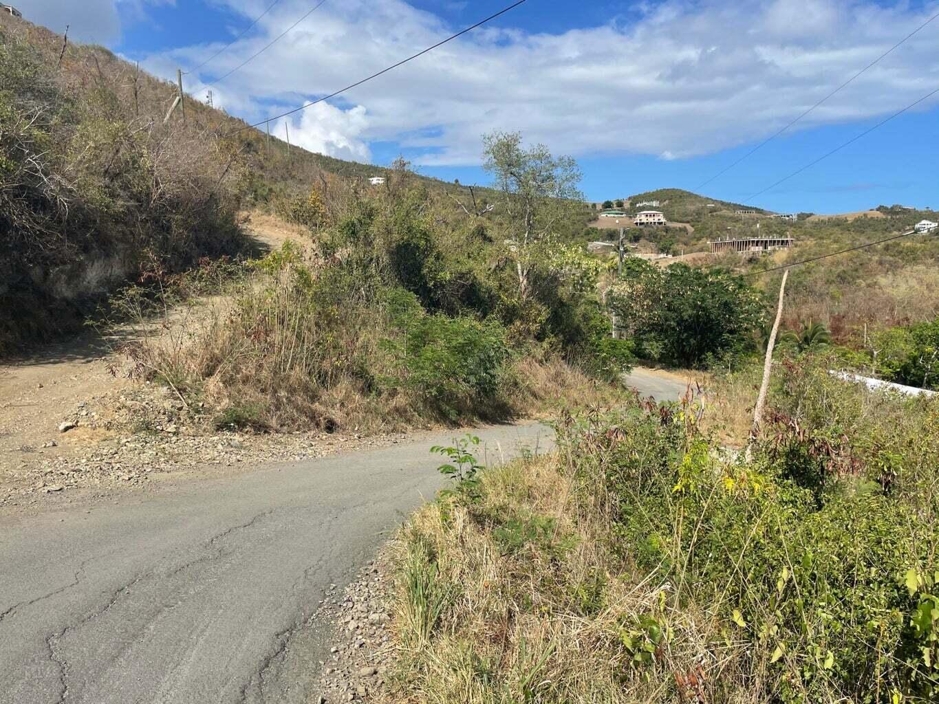 0.72 Acre Homesite in La Grange, St. Croix — photo 3