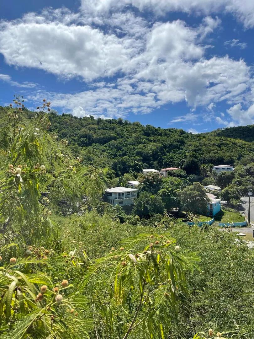 136 Eliza's Retreat Ea — photo 5