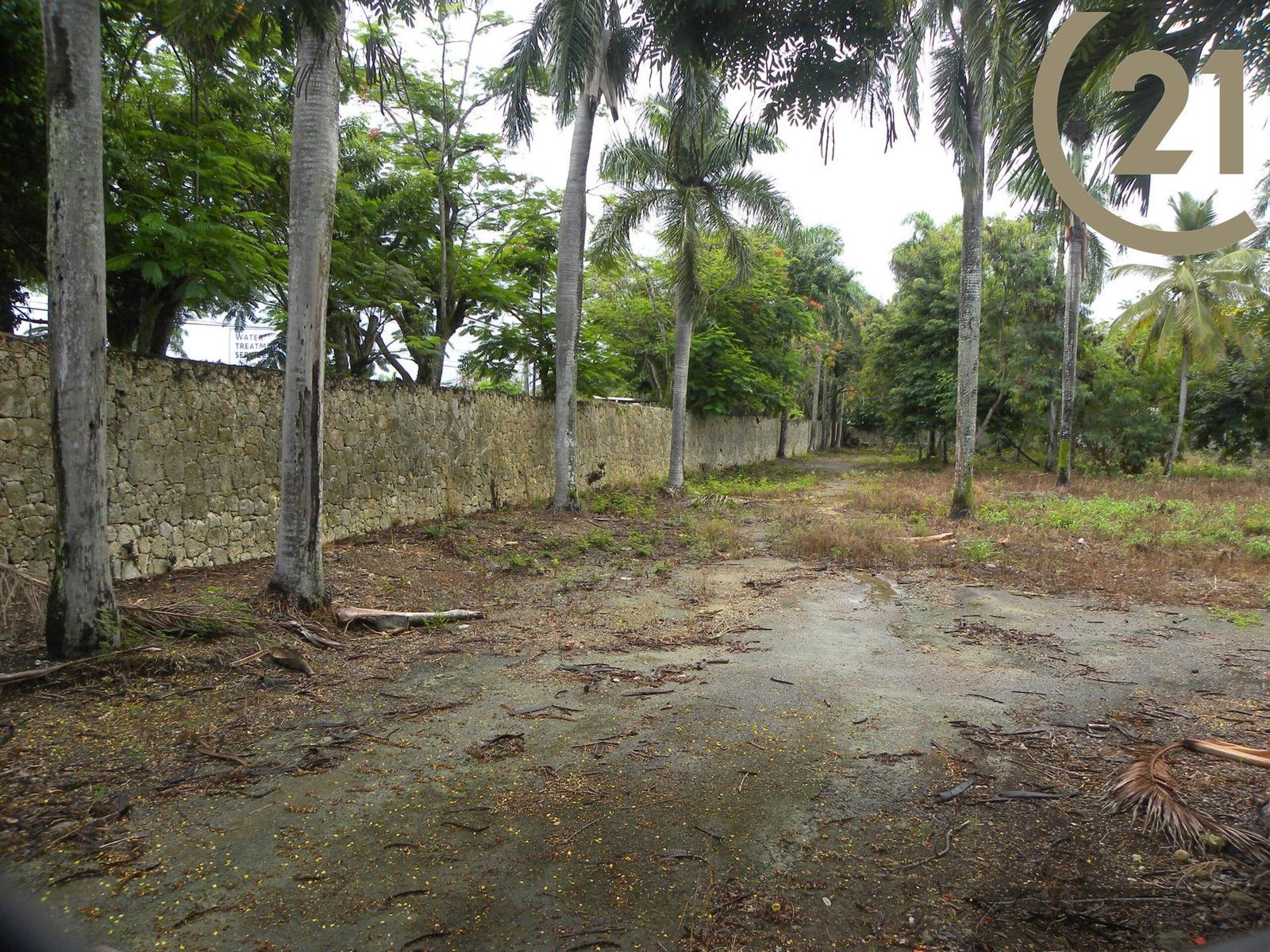 Prime Commercial Development Lot for sale in El Batey, Sosúa — photo 3