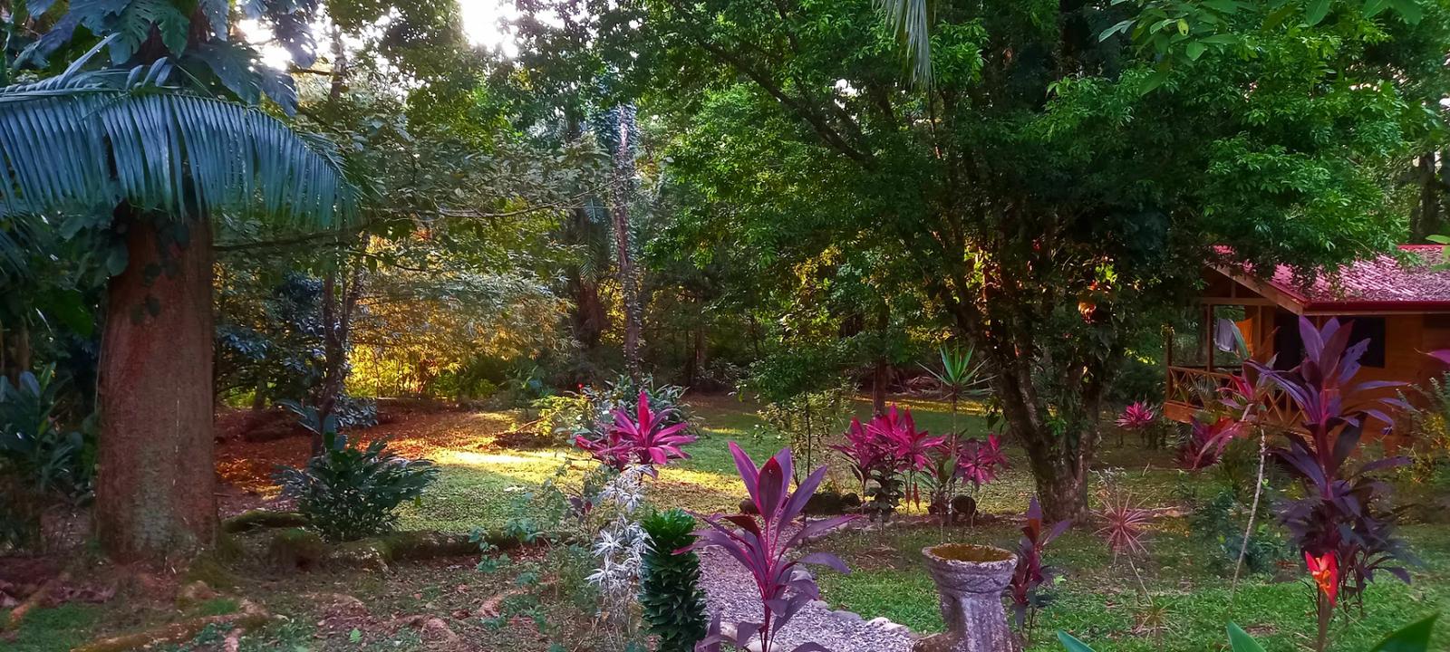 11 Bedroom Jungle Retreat for Sale, Uvita, Puntarenas, Costa Rica — photo 2