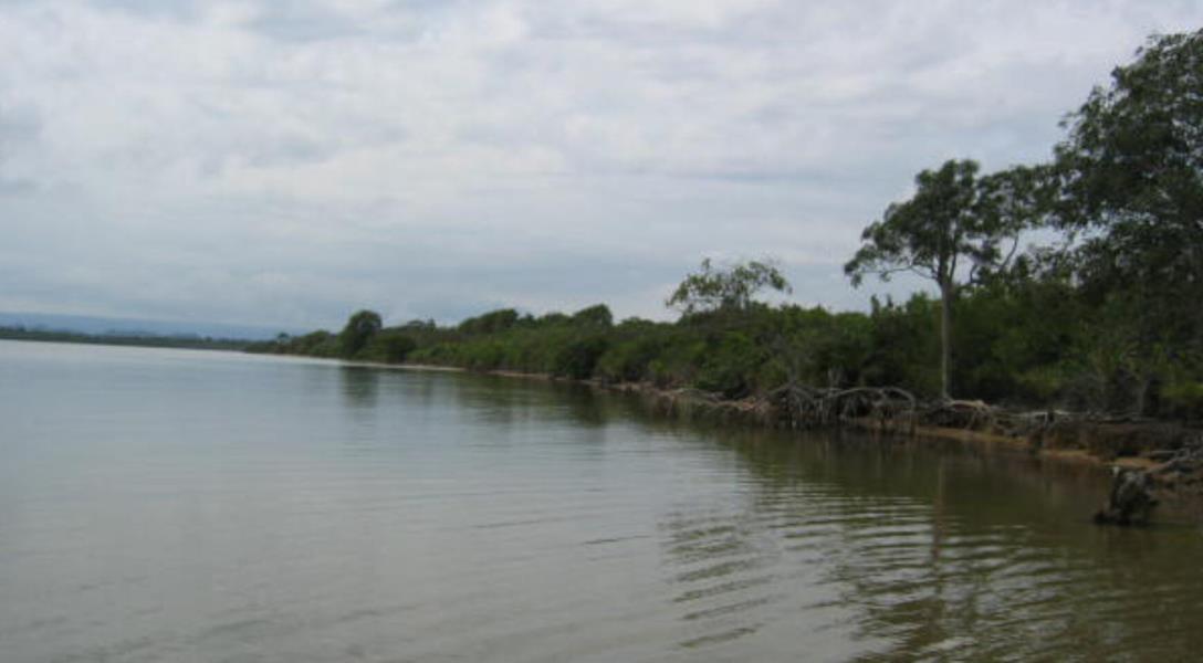 Beachfront land, 100 acres at Colson Point, Dangriga — photo 5