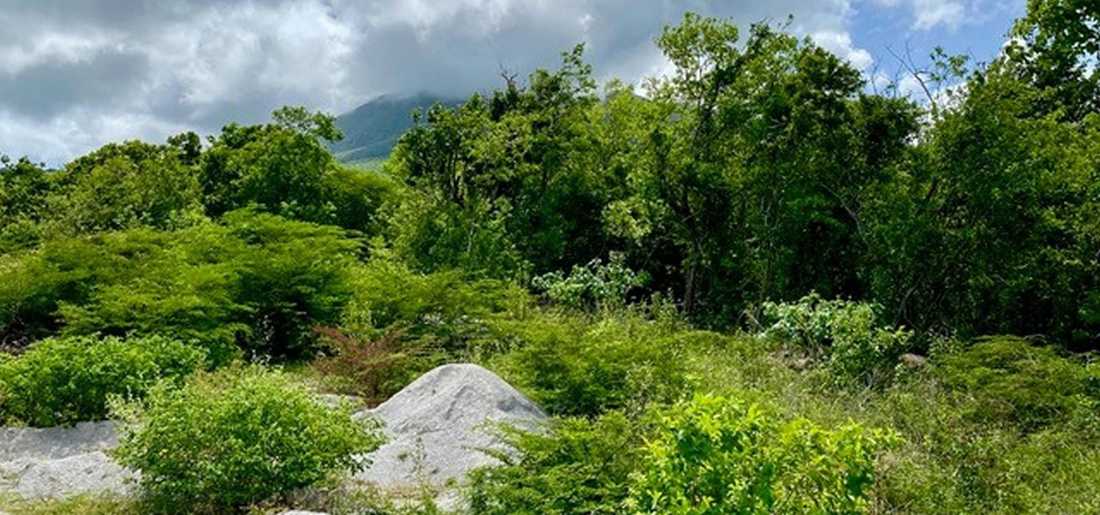3-acre land in Clifton Estate, Cades Bay, Nevis — photo 5