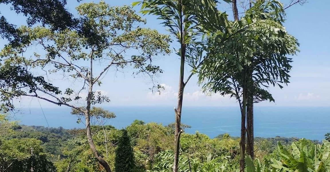 1 Bedroom Casita for Sale in Pinuela, Uvita, Puntarenas — photo 2