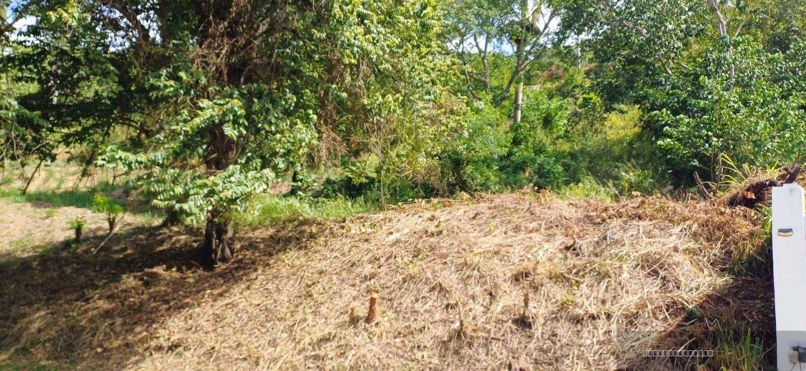 Residential Lot for sale in Terramar Estates, Sosúa — photo 4