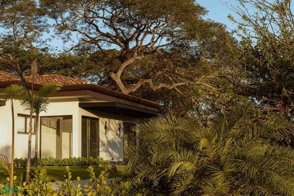 7 Bedroom Luxury Home for Sale, Los Almendros, Hacienda Pinilla, Guanacaste, Costa Rica — photo 5