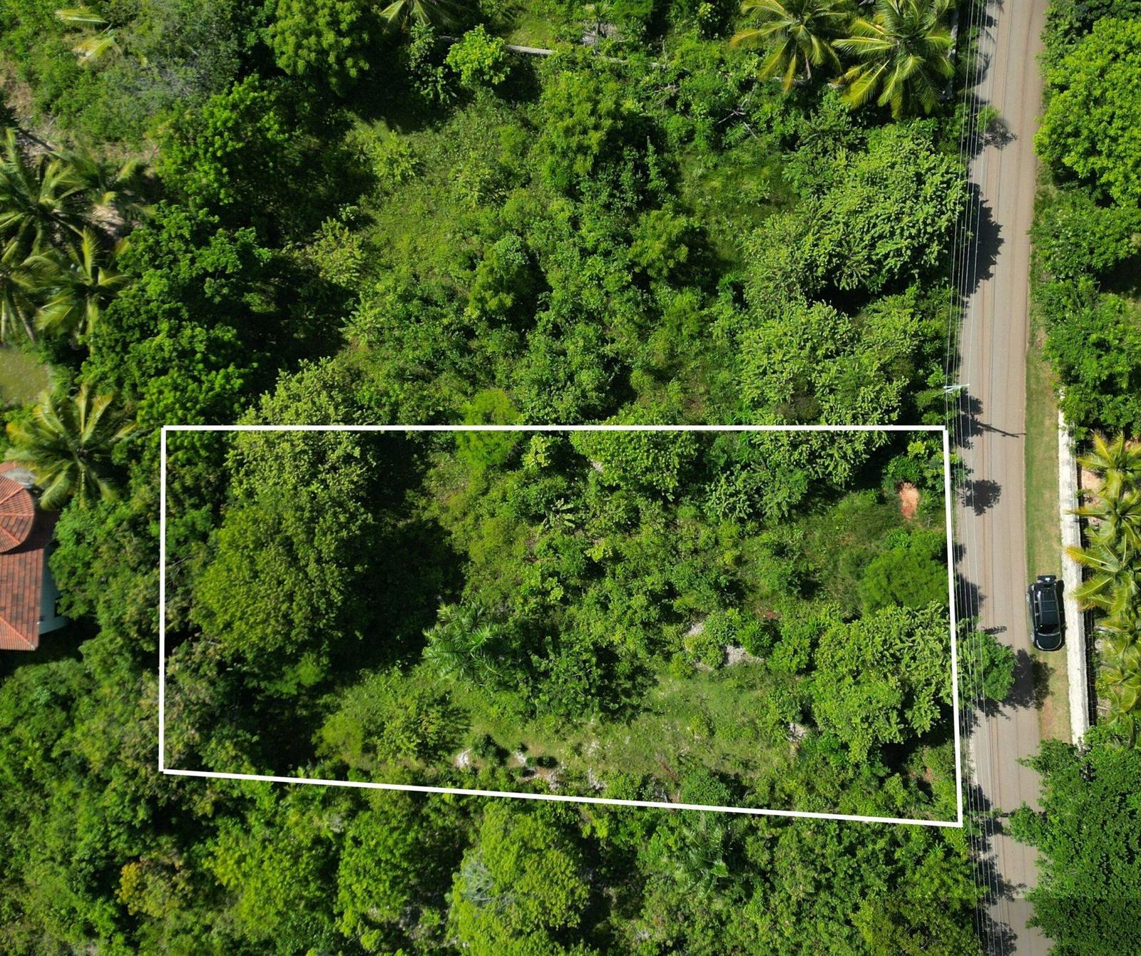 Ocean-View Lot in Lomas Mironas, Cabarete — photo 2